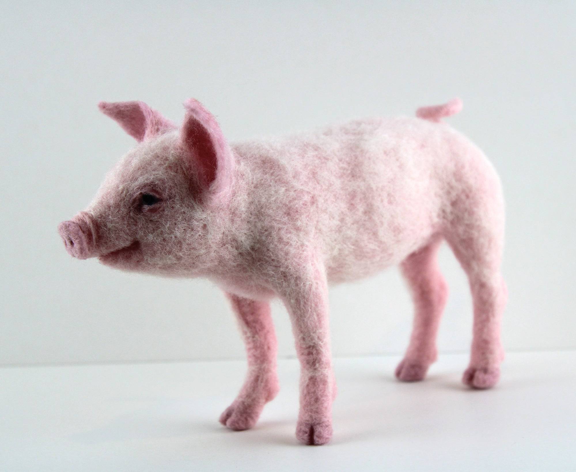 Pippin The Pig | Needle Felting Kit.