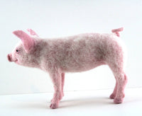 Pippin The Pig | Needle Felting Kit.
