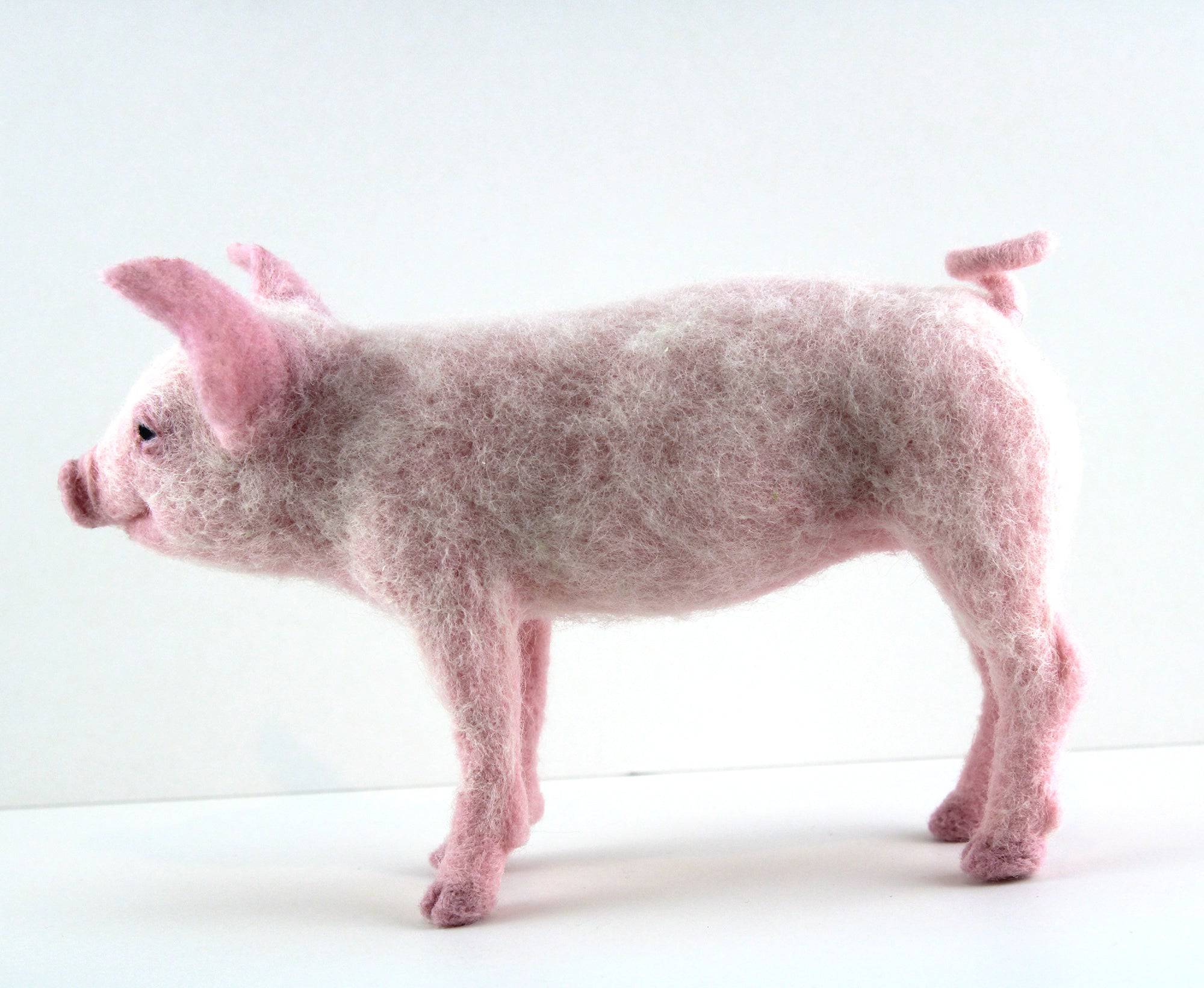 Pippin The Pig | Needle Felting Kit.
