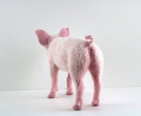 Pippin The Pig | Needle Felting Kit.