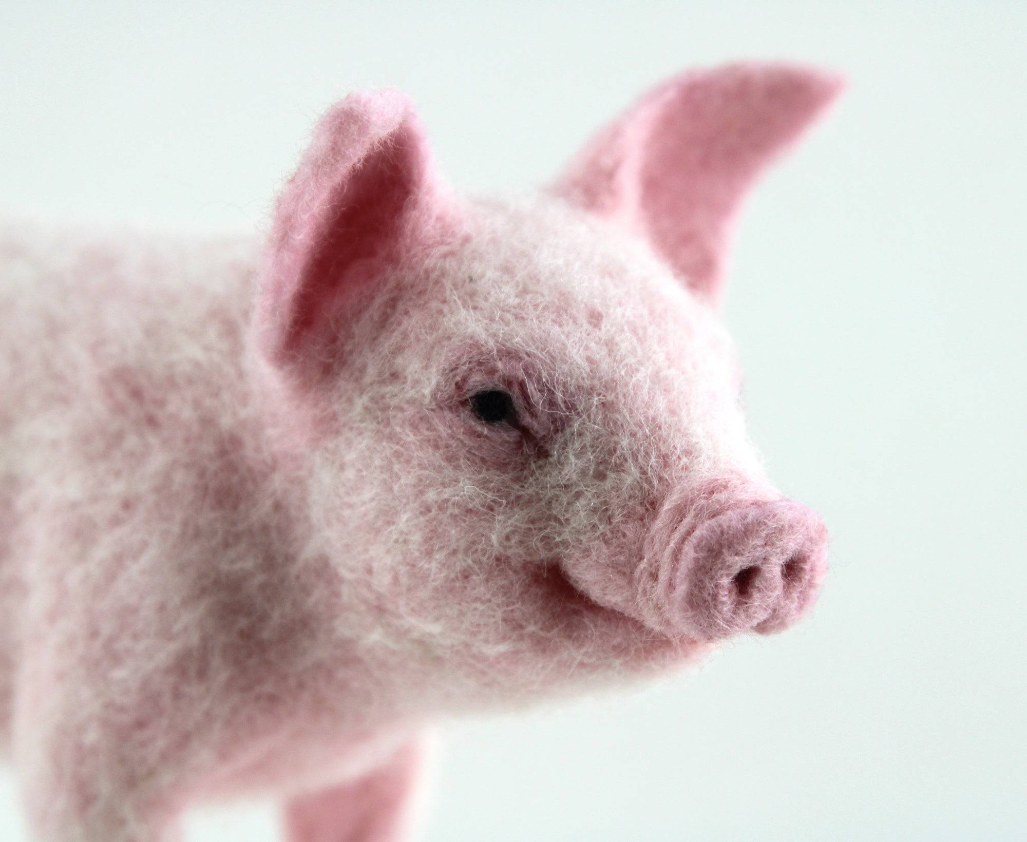 Pippin The Pig | Needle Felting Kit - World of Wool