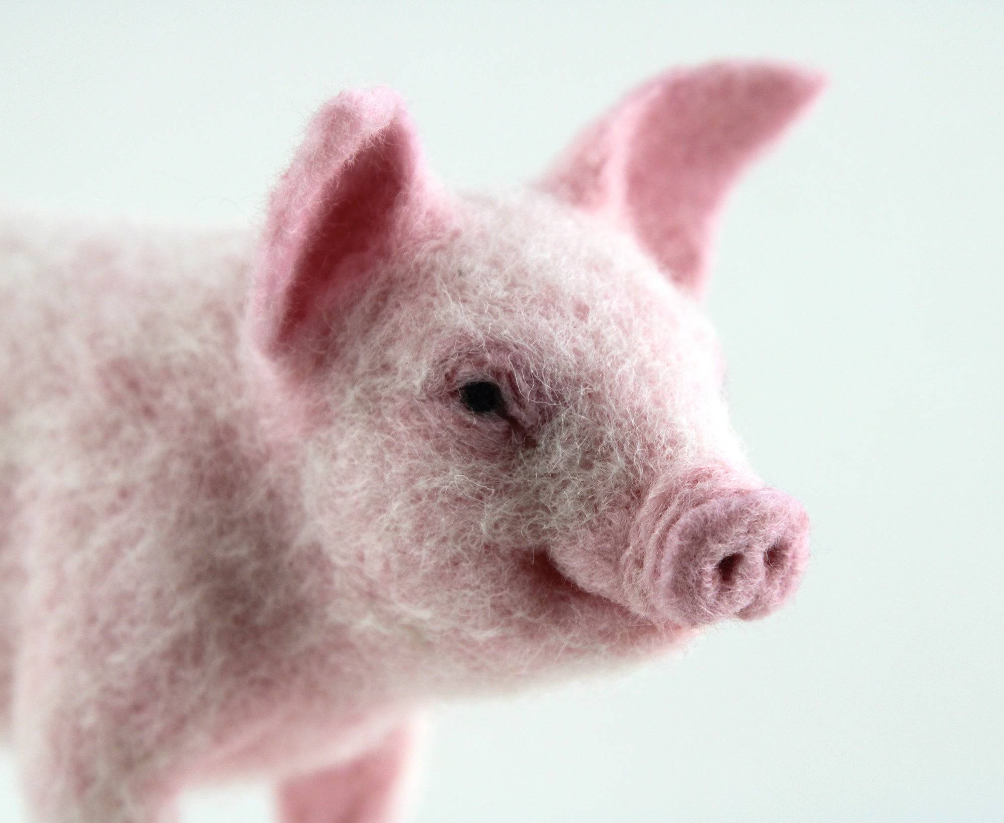 Pippin The Pig | Needle Felting Kit.
