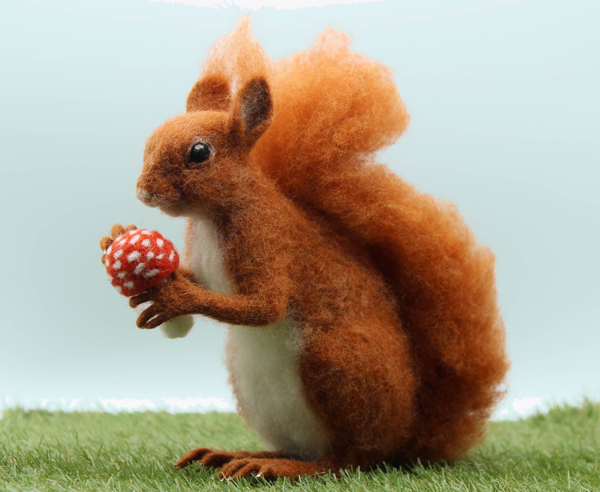 Solly The Squirrel | Needle Felting Kit.