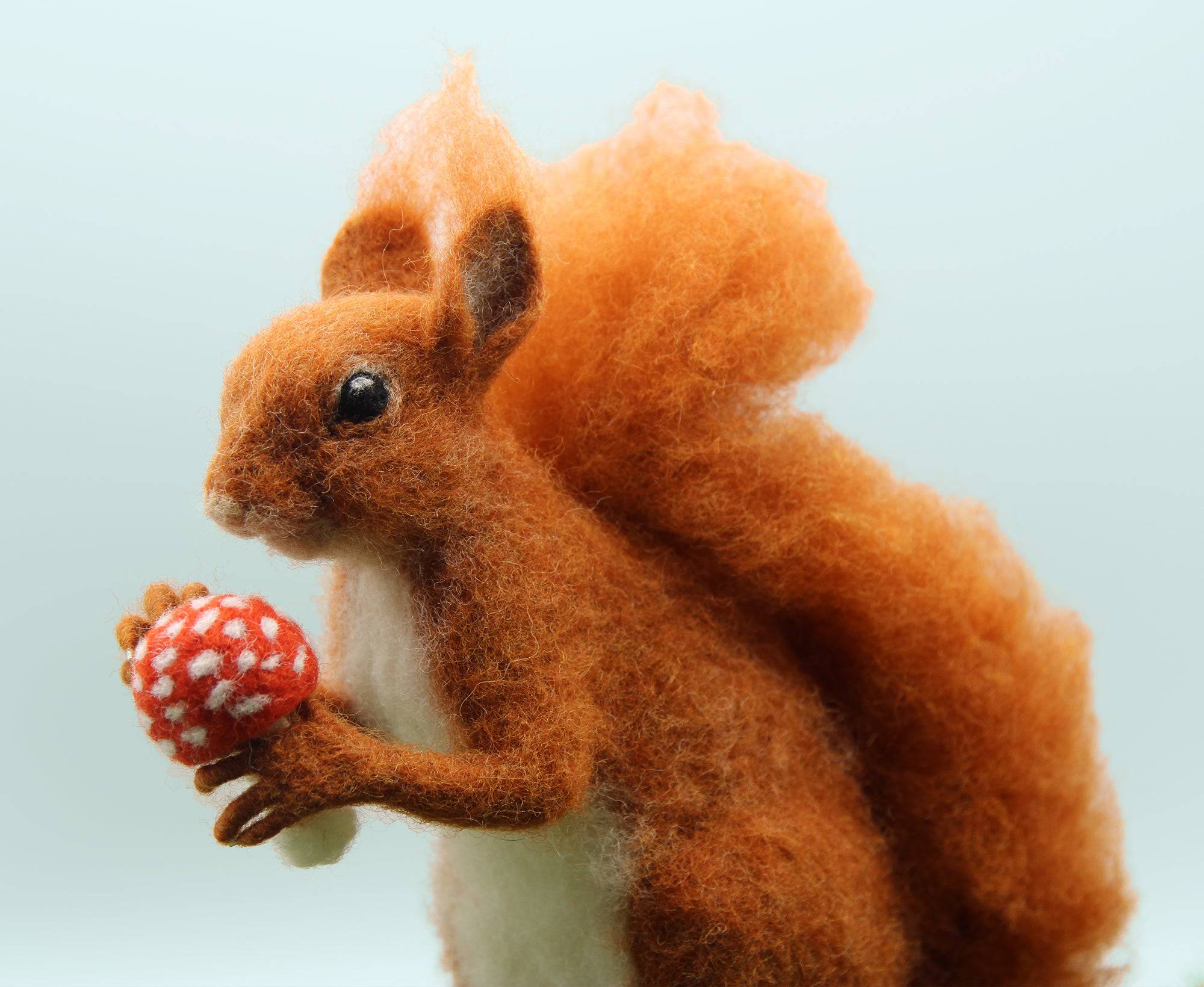 Solly The Squirrel | Needle Felting Kit.